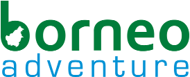 Borneo Adventure